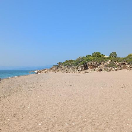 Вилла Tzanetos Seaside Кипарисия Экстерьер фото