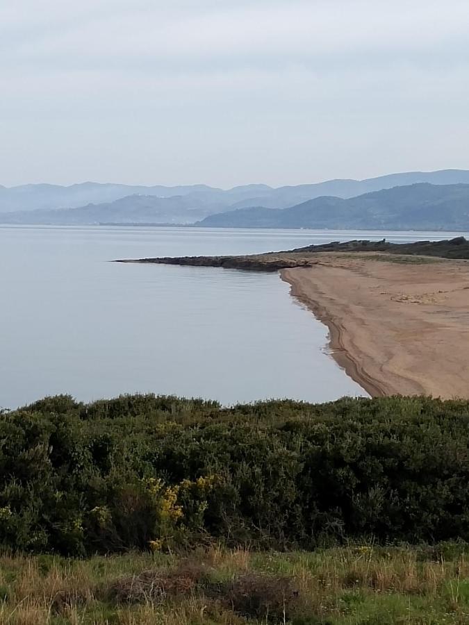 Вилла Tzanetos Seaside Кипарисия Экстерьер фото