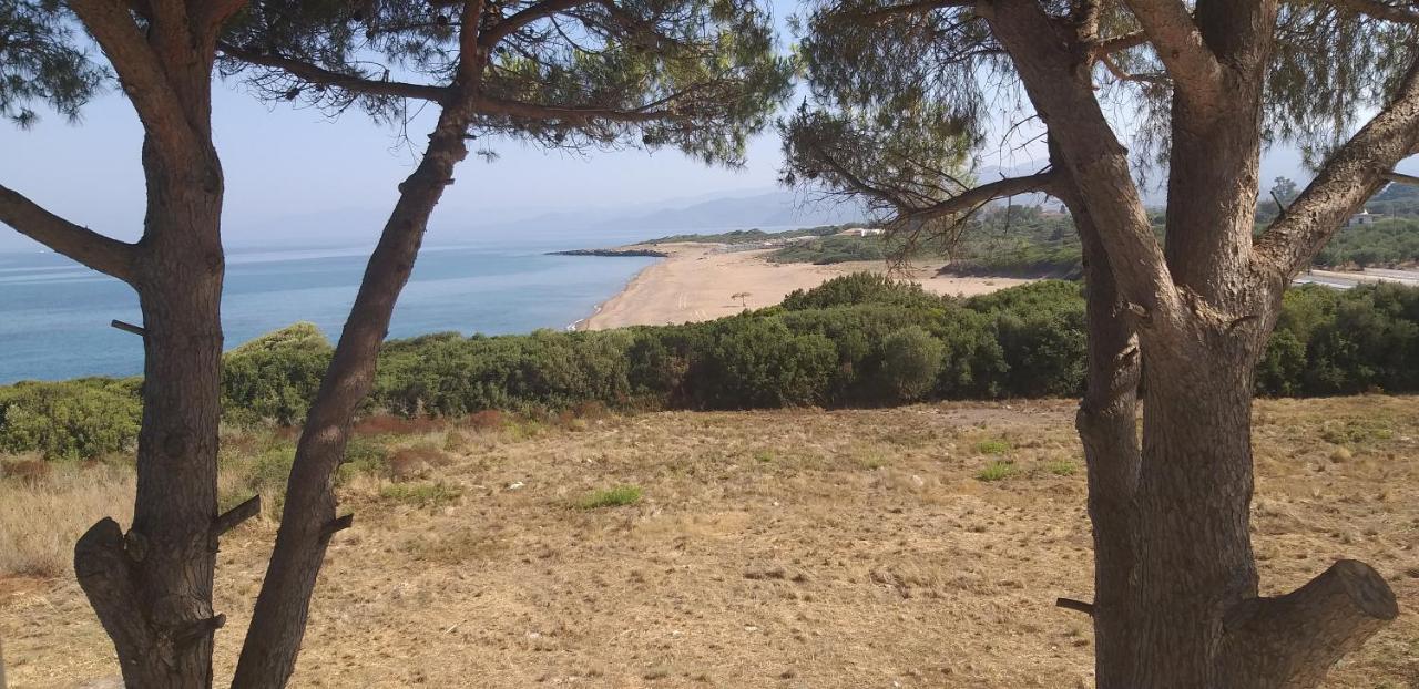 Вилла Tzanetos Seaside Кипарисия Экстерьер фото